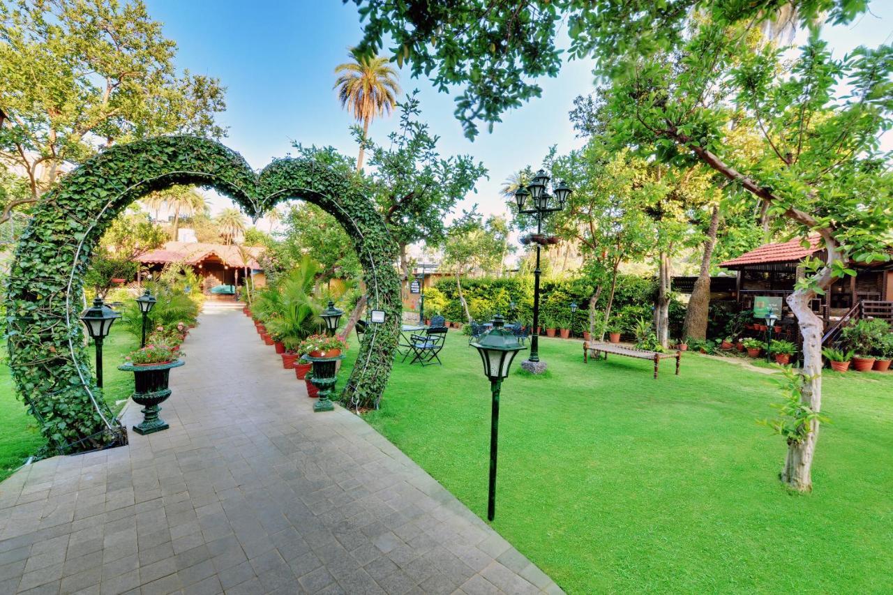 Chacha Inn The Garden Retreat Mount Abu Exterior photo